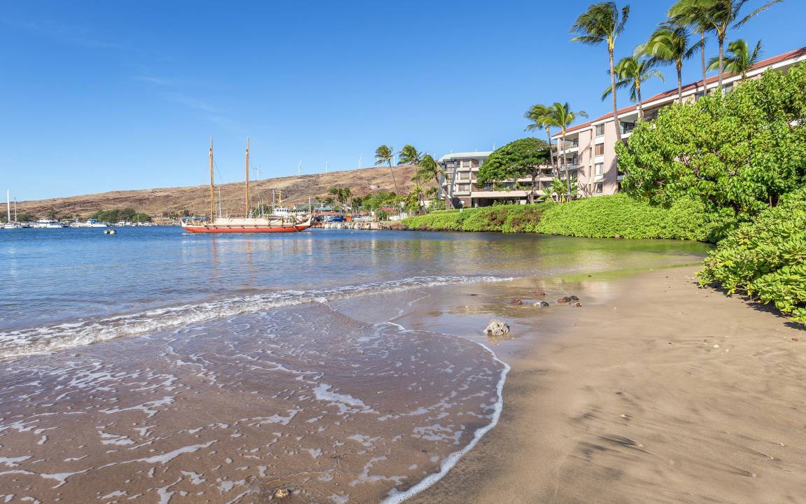 Photo of Others in Maalaea