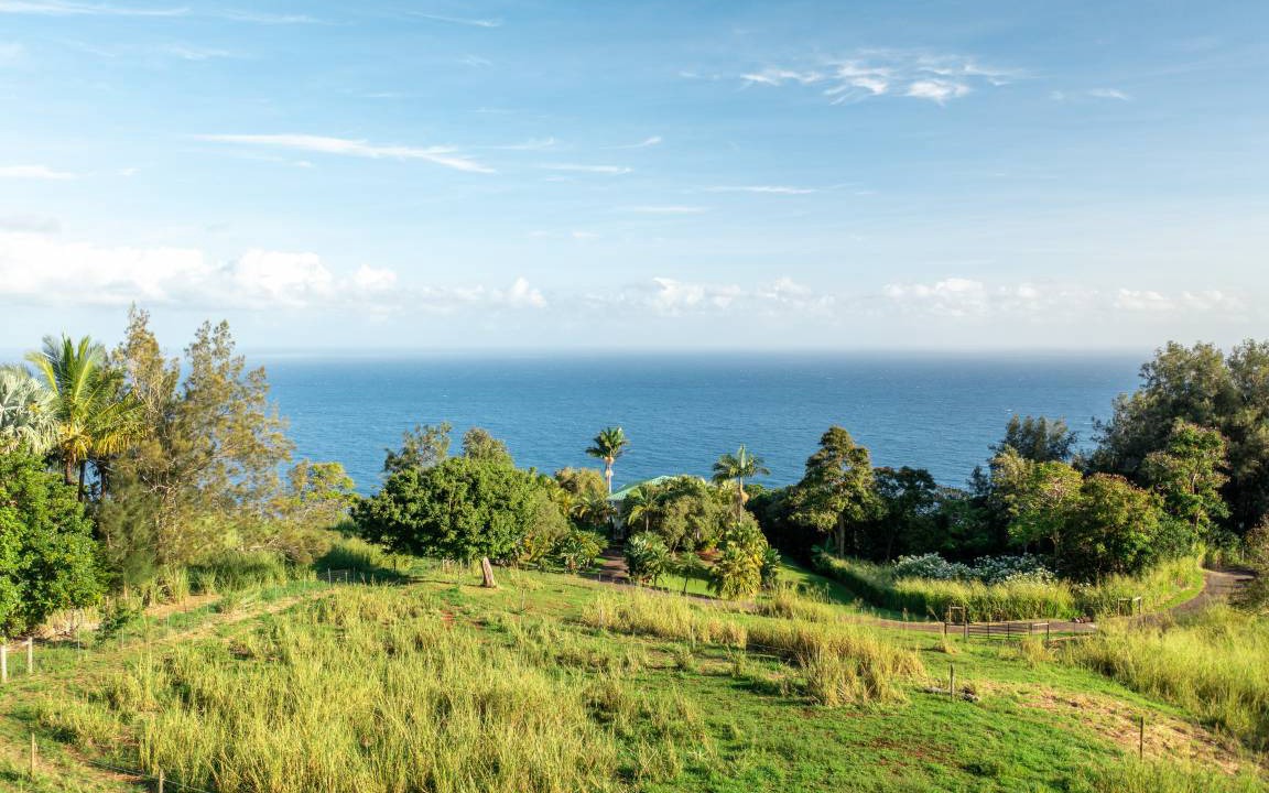 Photo of Others in Kukuihaele