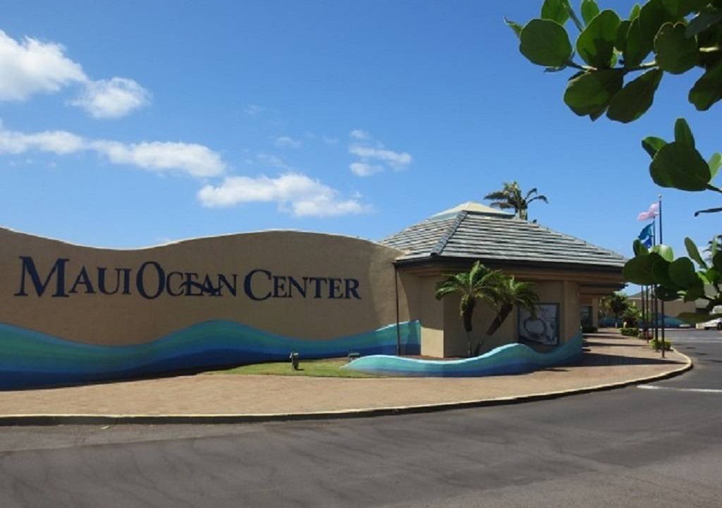 Photo of Others in Maalaea