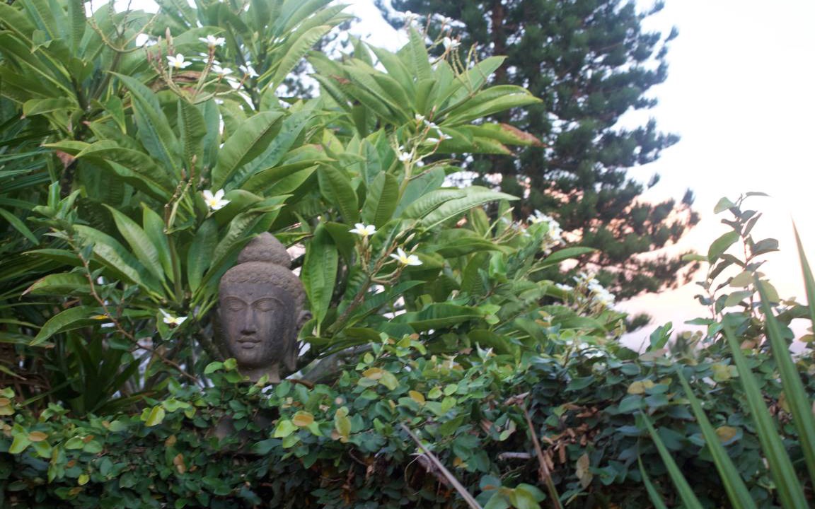 Photo of Others in Kaanapali