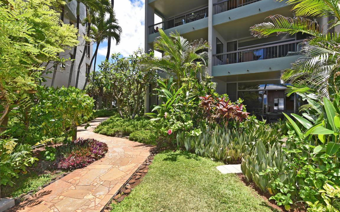 Photo of Others in Honokowai