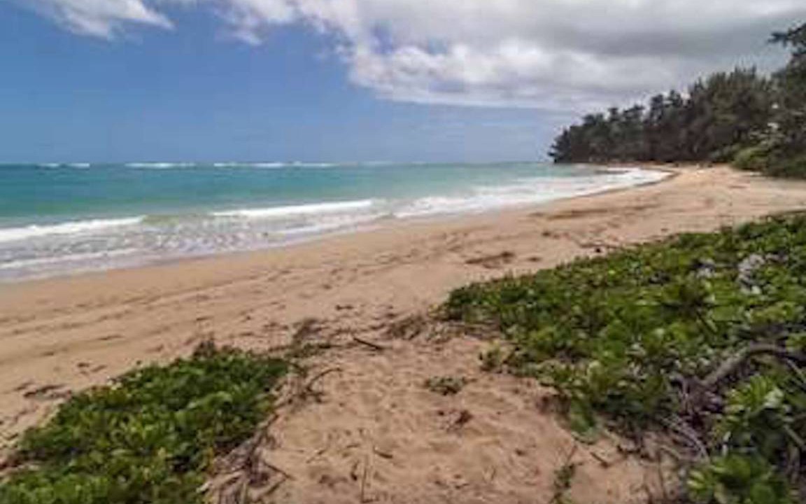 Photo of Others in Laie