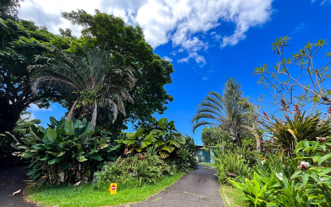 Photo of Others in Kealakekua