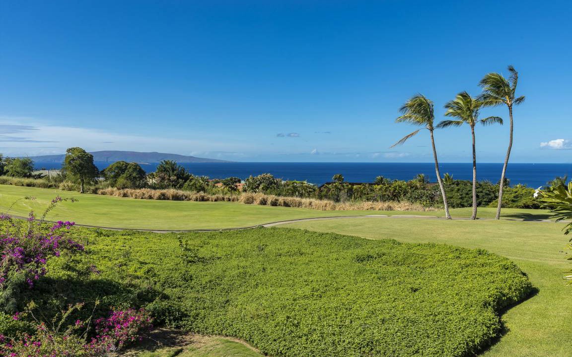 Photo of Others in Wailea