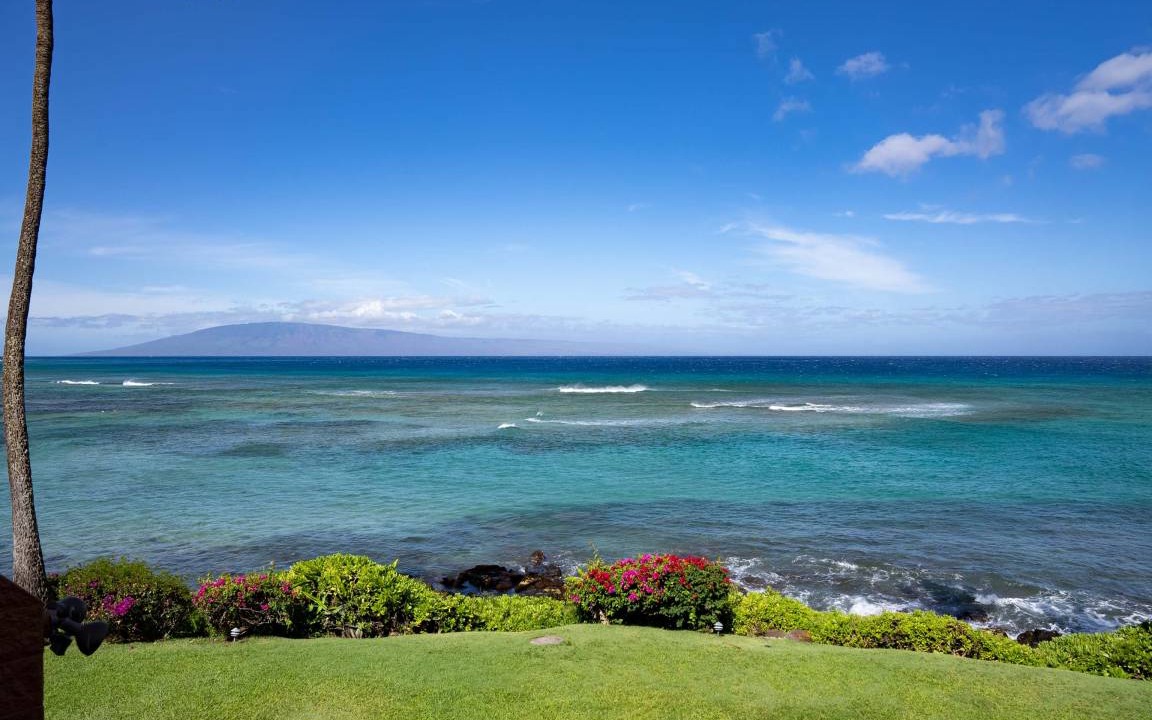 Photo of Others in Honokowai