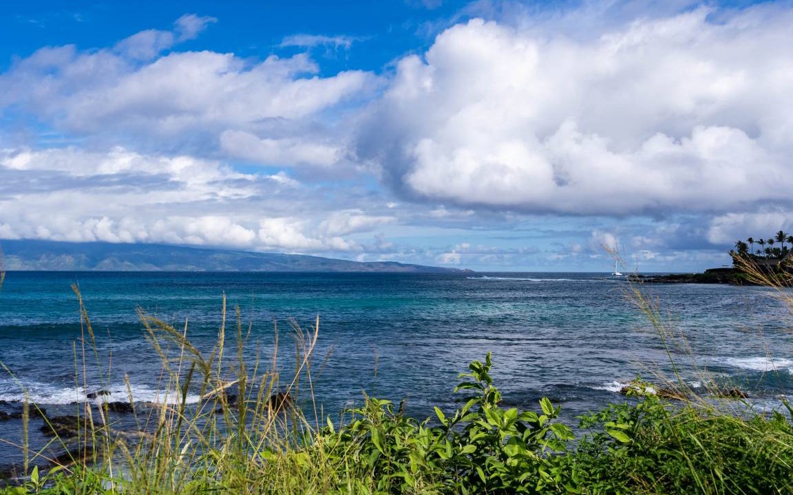 Photo of Others in Napili