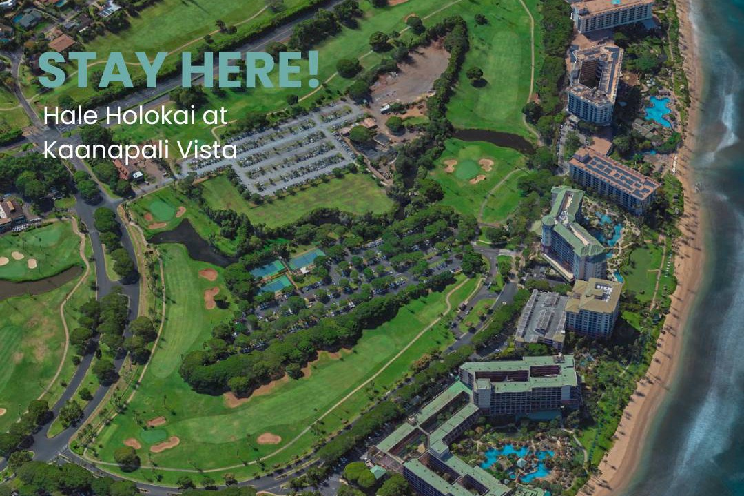 Photo of Others in Kaanapali