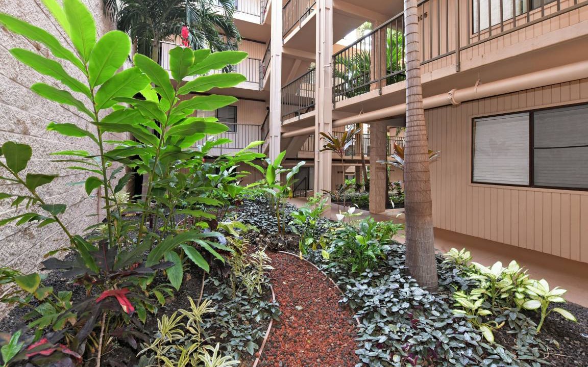 Photo of Others in Kihei