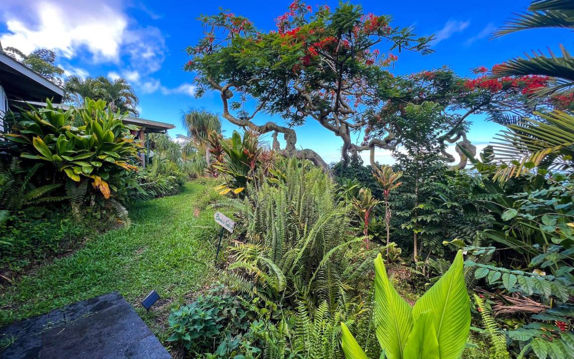 Photo of Others in Kealakekua