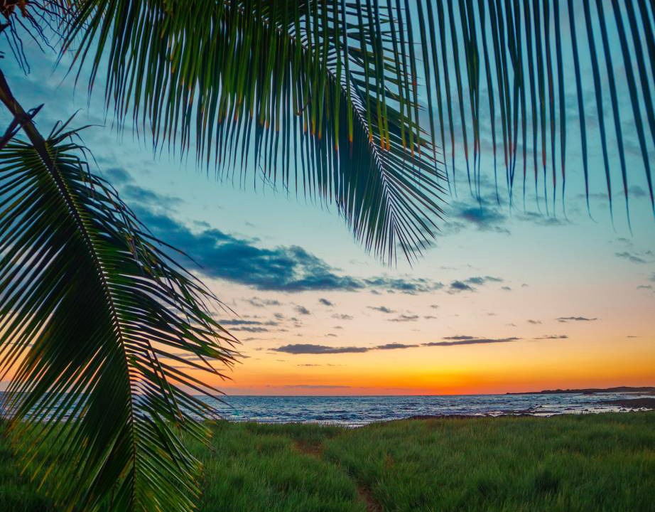 Photo of Others in Holualoa