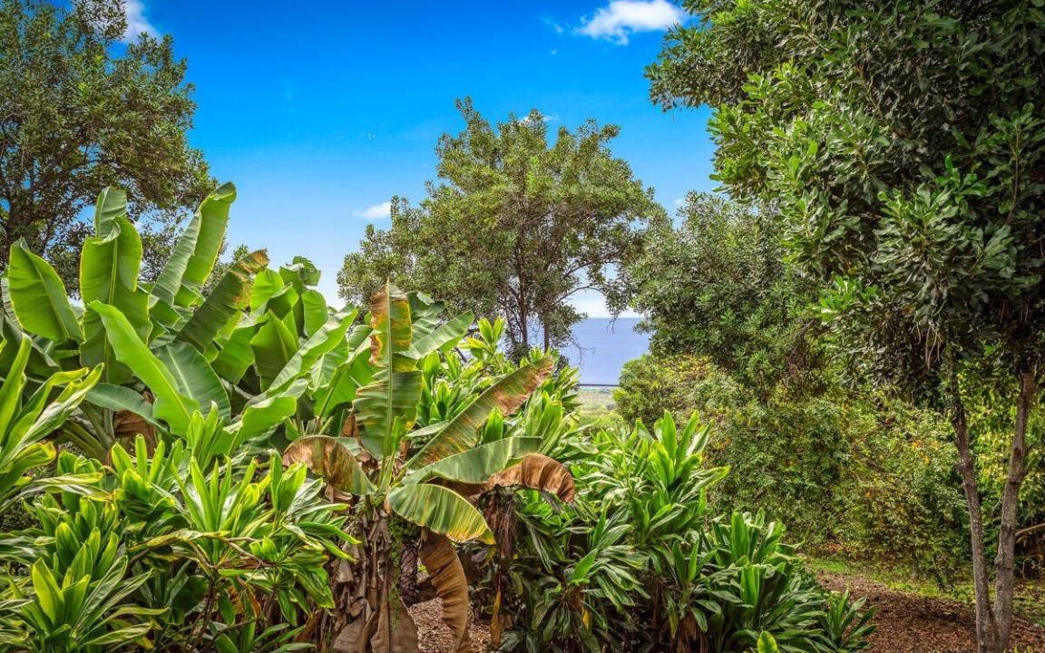 Photo of Others in Honaunau-Napoopoo