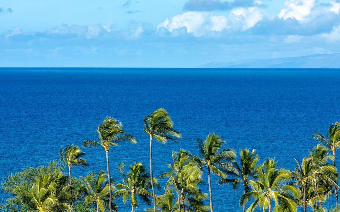 Photo of Others in Wailea