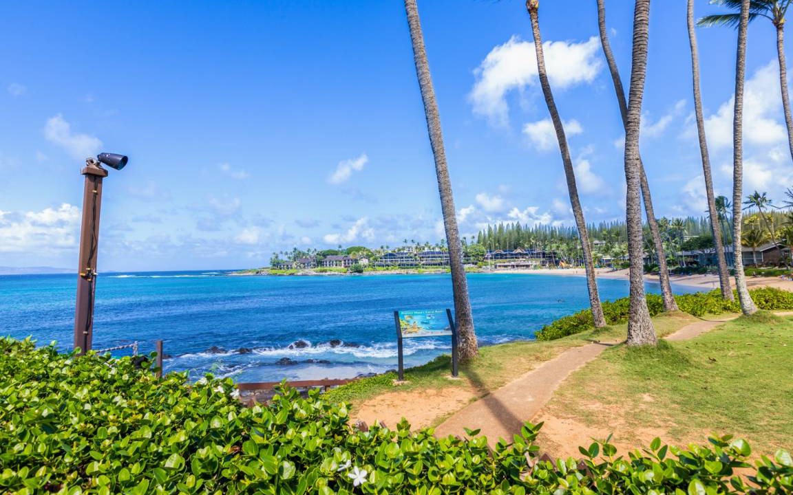 Photo of Others in Napili