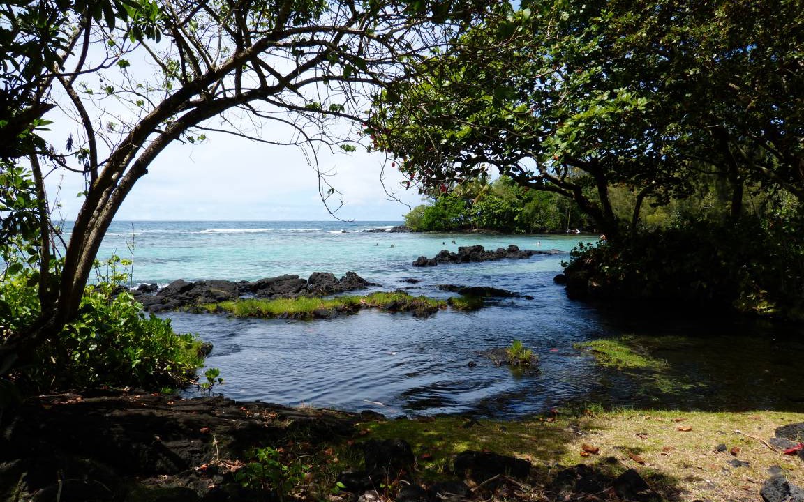 Photo of Others in Hilo