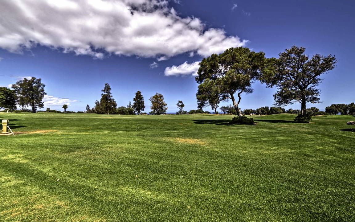 Photo of Others in Waikoloa