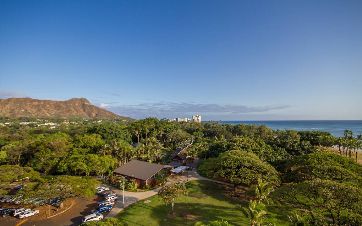 Photo of Others in Waikiki