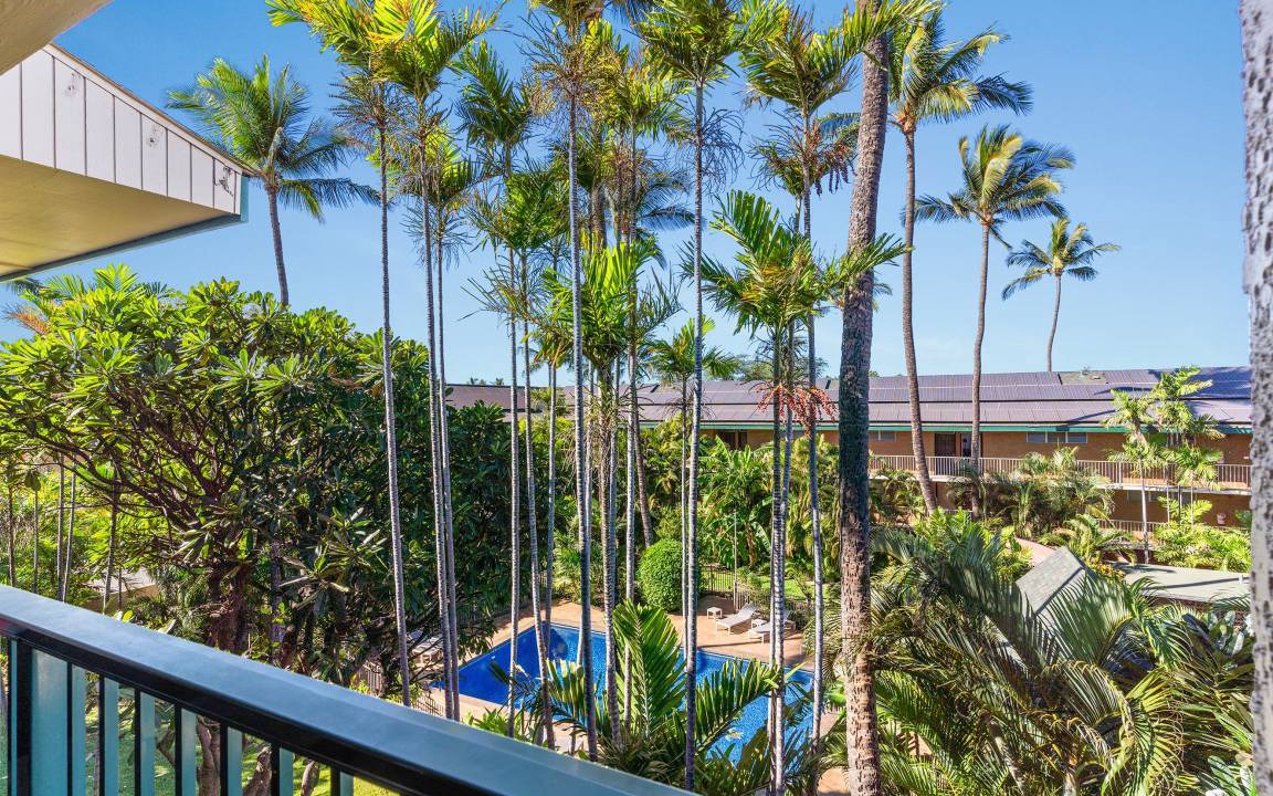 Photo of Others in Kihei