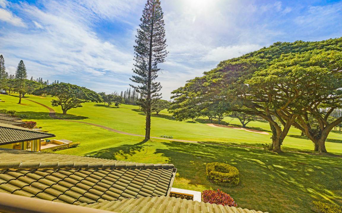 Photo of Others in Kapalua