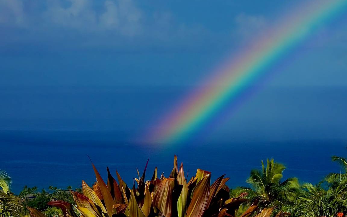 Photo of Others in Kahaluu-Keauhou