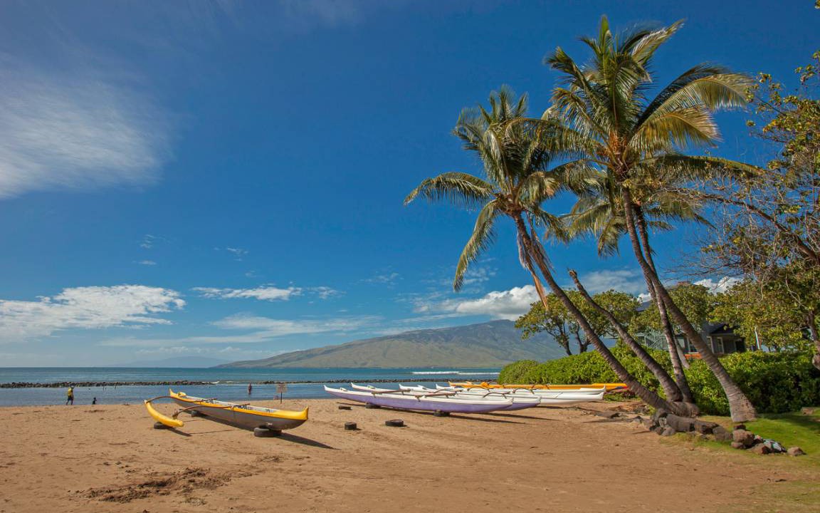 Photo of Others in Kihei