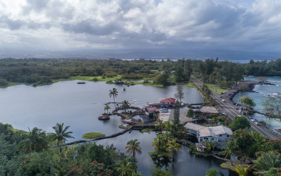 Photo of Others in Hilo