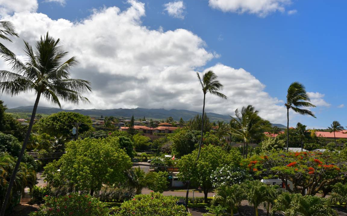 Photo of Others in Kahana