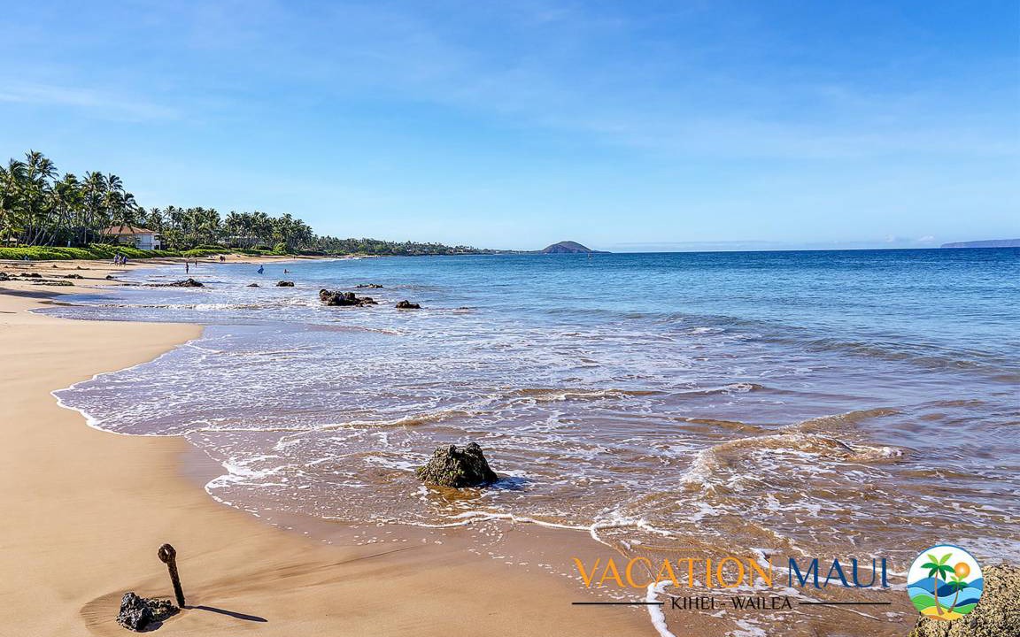 Photo of Others in Kihei
