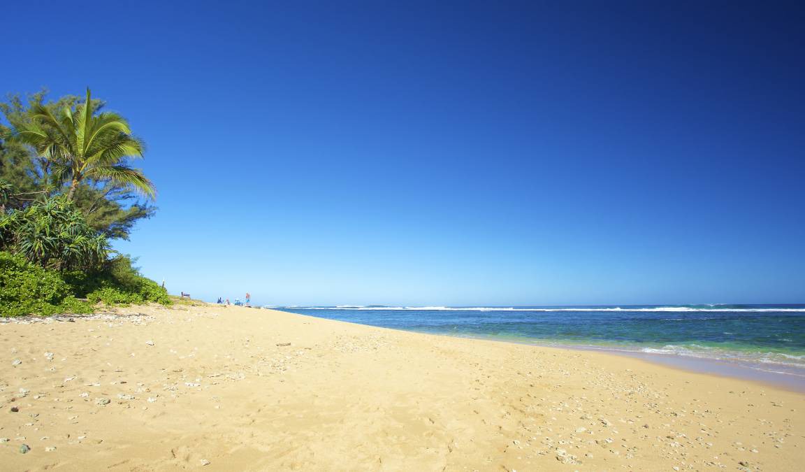 Photo of Others in Wainiha