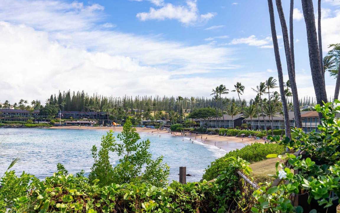 Photo of Others in Napili