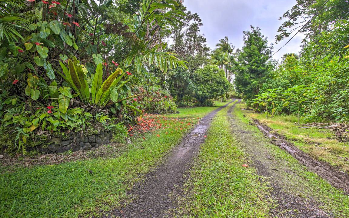 Photo of Others in Leilani Estates