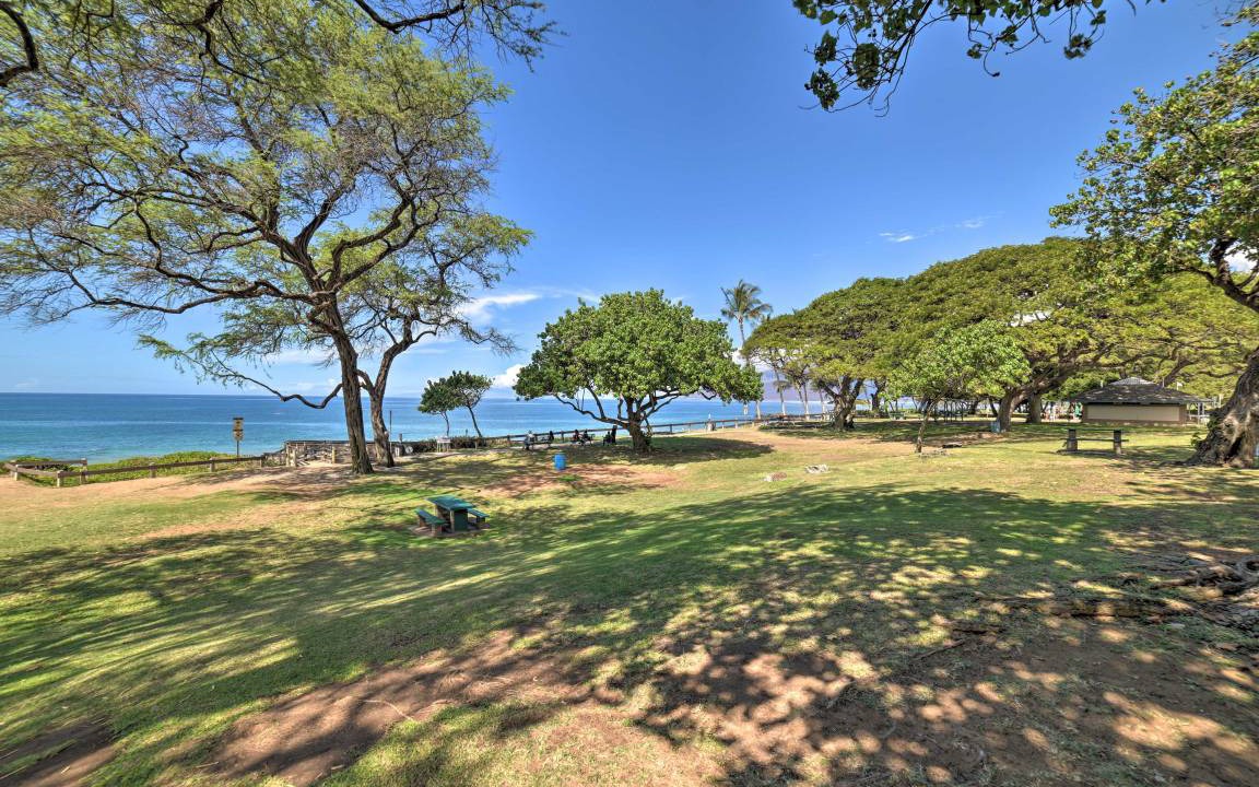Photo of Others in Kihei