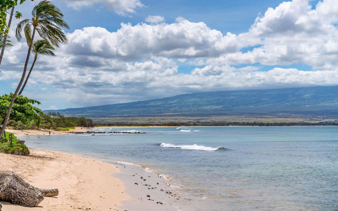 Photo of Others in Maalaea