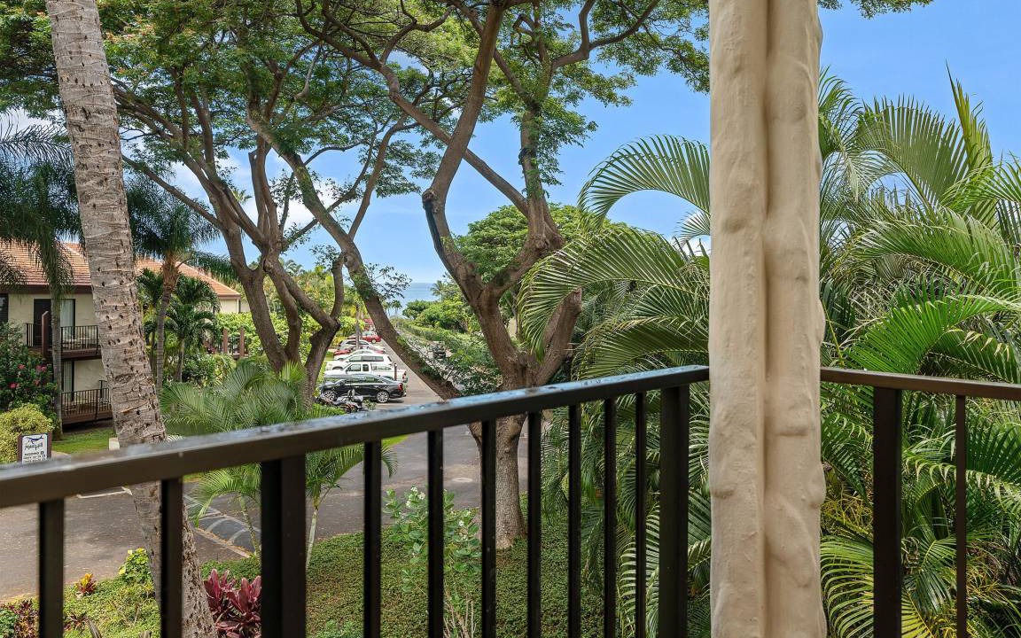 Photo of Others in Kihei
