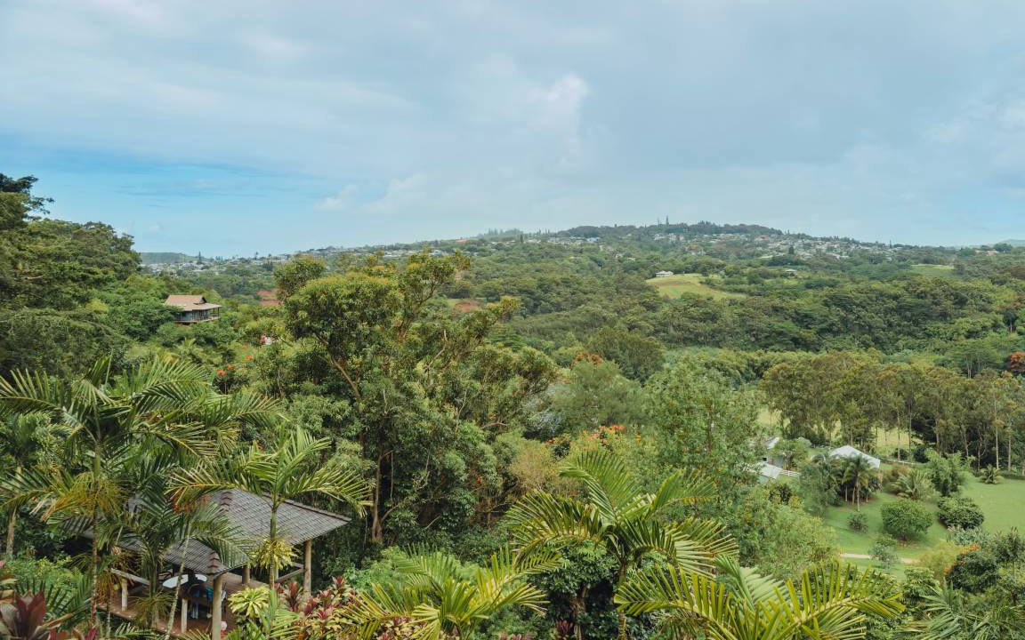 Photo of Others in Lawai