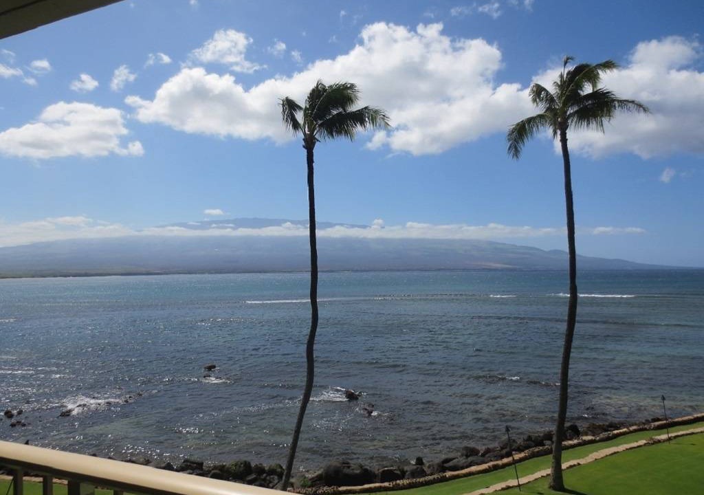 Photo of Others in Maalaea