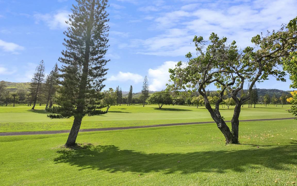 Photo of Others in Kahuku