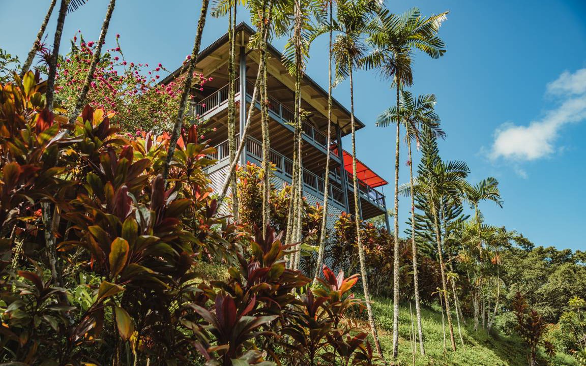 Photo of Others in Lawai