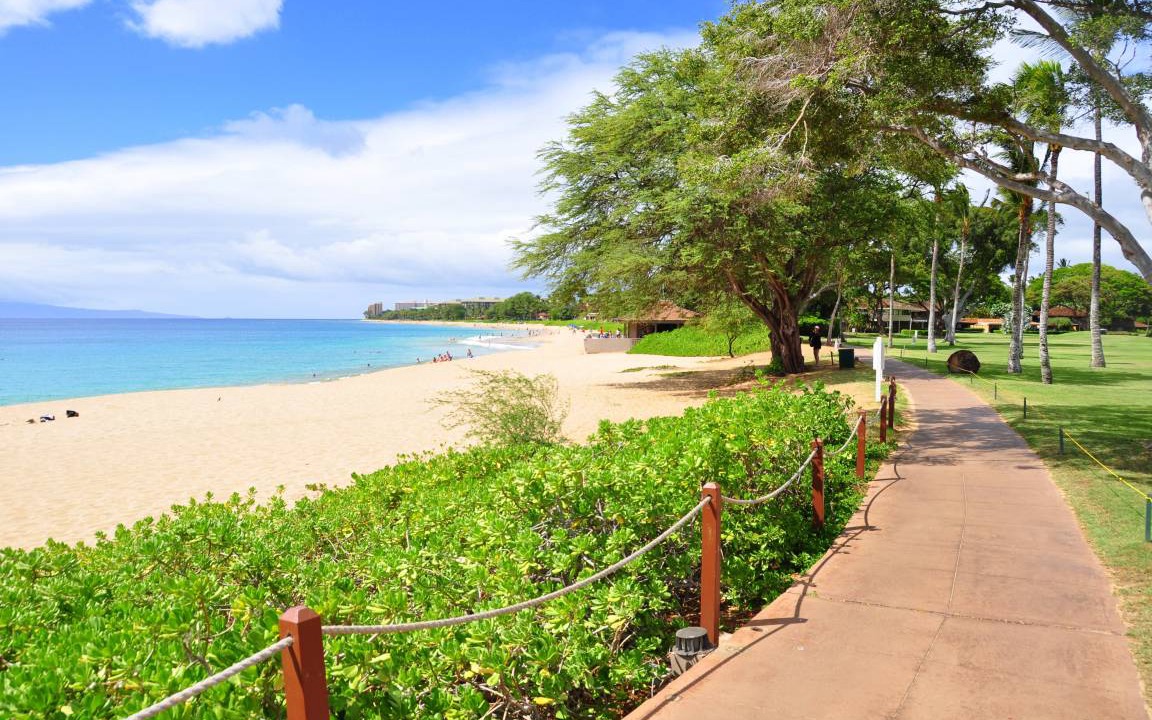 Photo of Others in Kaanapali