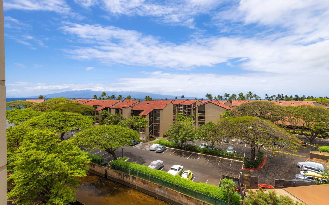 Photo of Others in Lahaina