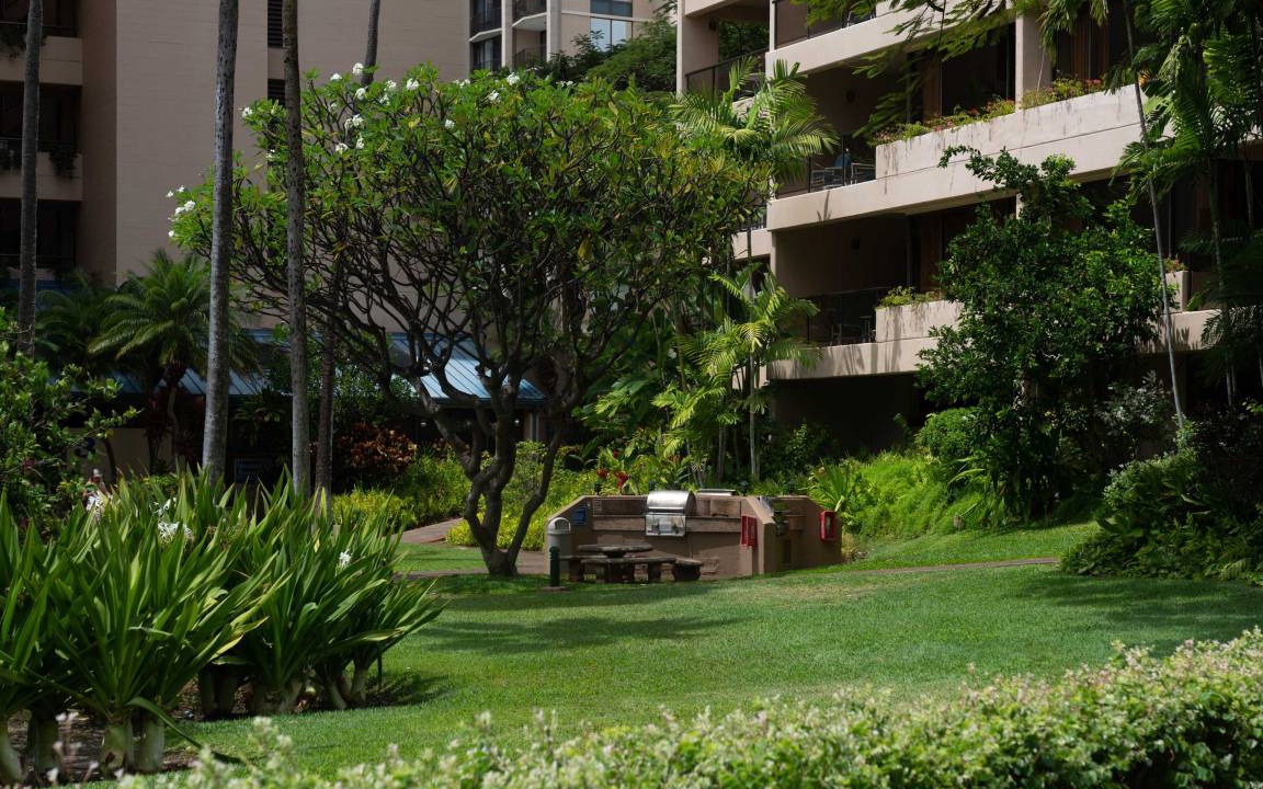 Photo of Others in Kahana