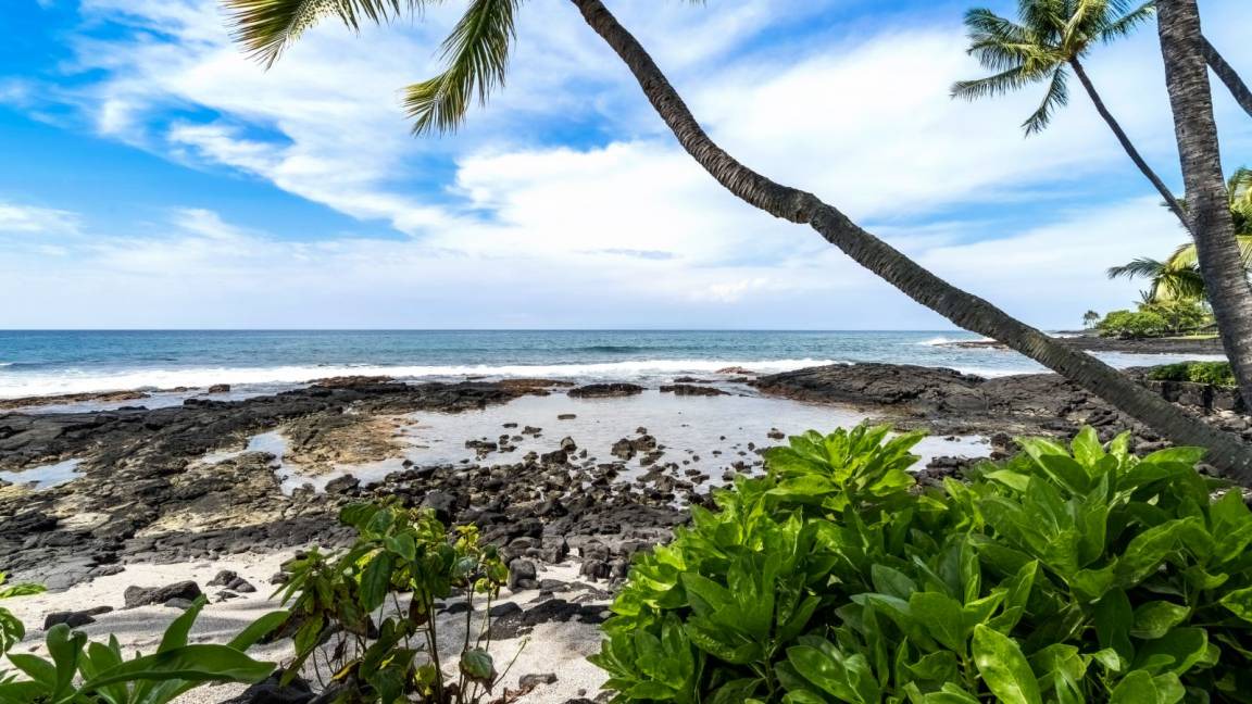 Photo of Others in Kailua-Kona