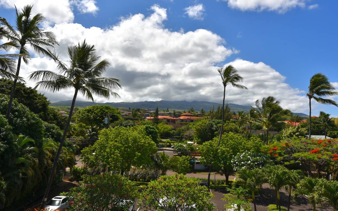 Photo of Others in Kahana