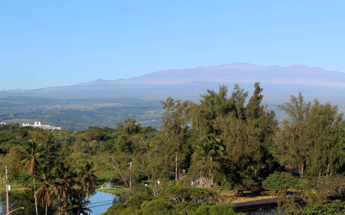 Photo of Others in Hilo