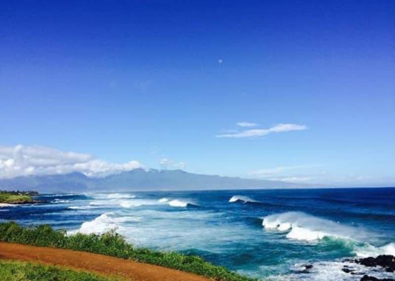 Photo of Others in Paia
