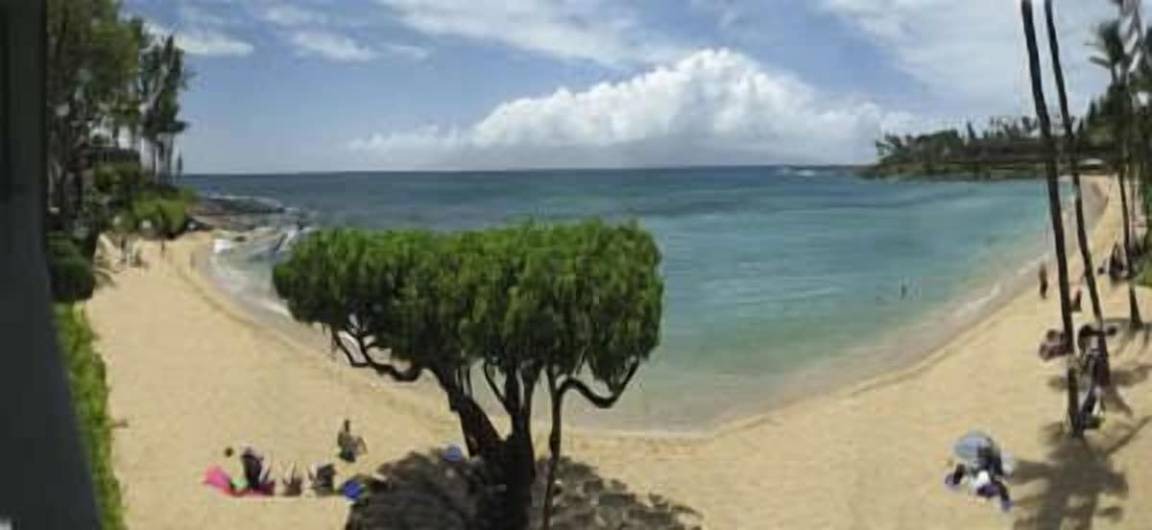 Photo of Others in Napili