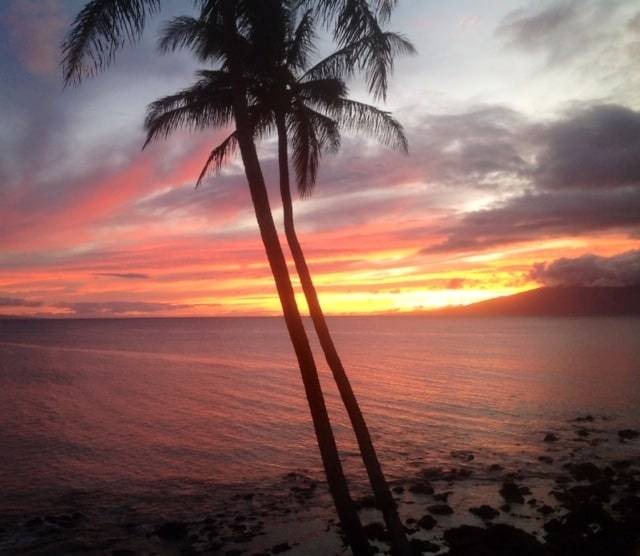 Photo of Others in Napili