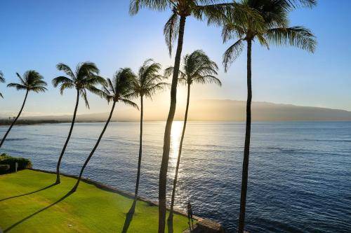 Photo of Others in Maalaea