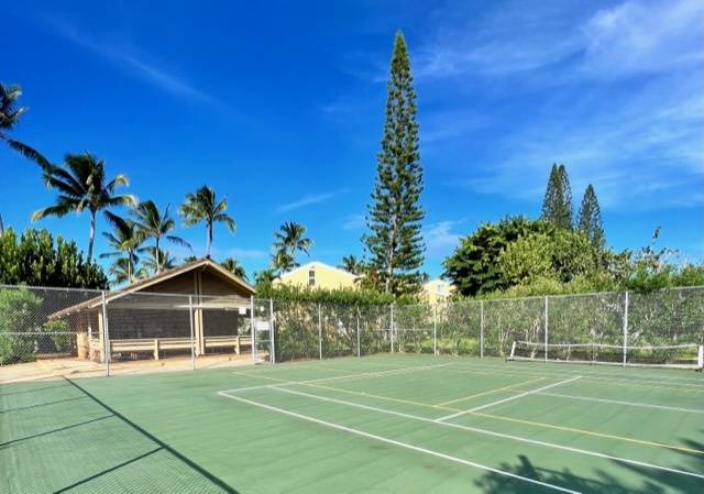 Photo of Others in Kahuku