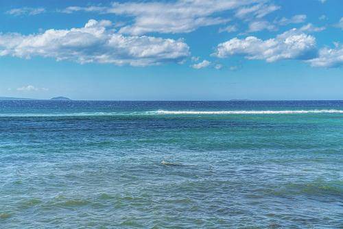 Photo of Others in Maalaea
