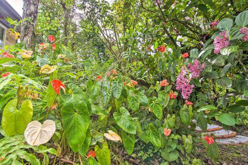 Photo of Outdoor in Leilani Estates